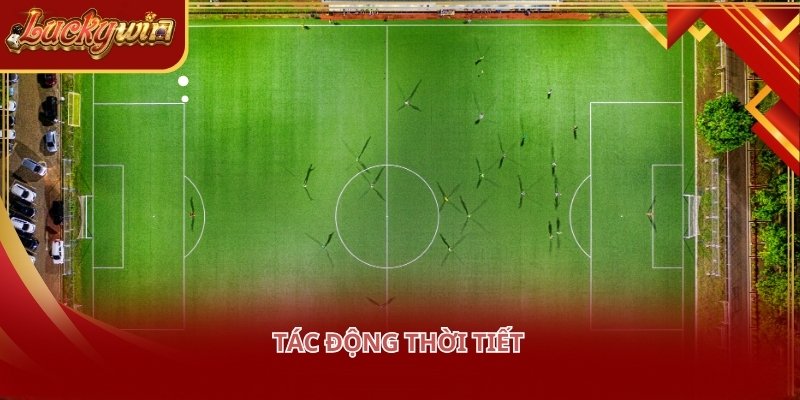 Kèo châu Á có thể bị điều chỉnh nếu sân vận động không đảm bảo chất lượng