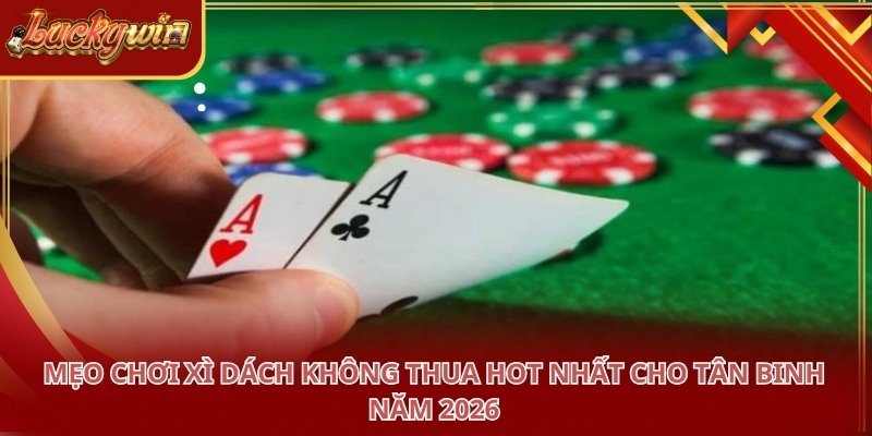 Mẹo Chơi Xì Dách Không Thua Hot Nhất Cho Tân Binh Năm 2026