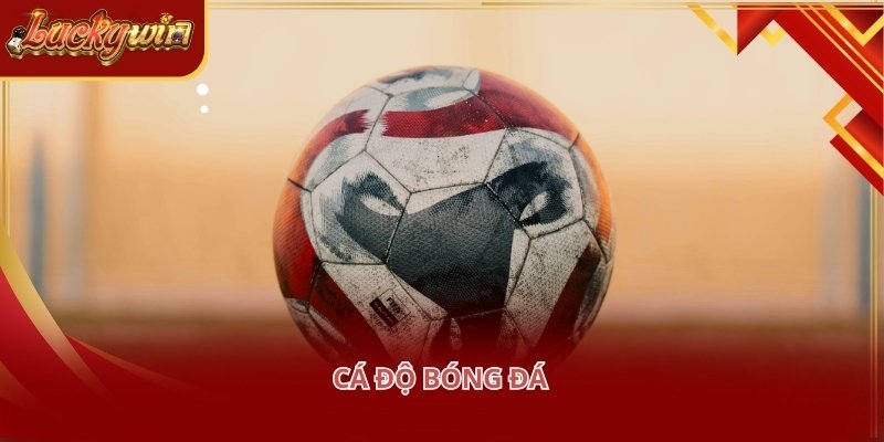 Thể thao LUCKYWIN cung cấp đầy đủ các loại kèo cực kỳ ấn tượng