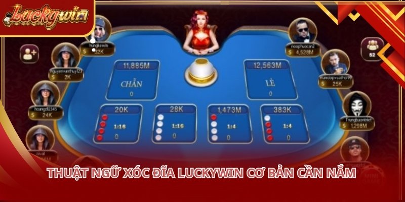 Hiểu rõ thuật ngữ giúp tránh được những nhầm lẫn khi thao tác đặt cược